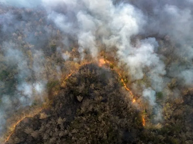 Queimadas na Amazônia acendem alerta para a saúde respiratória da população